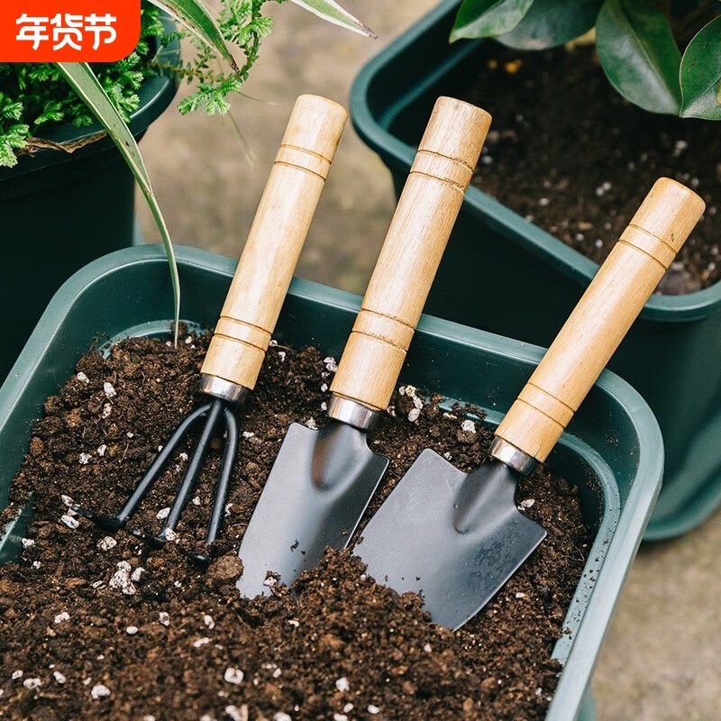 园艺工具三件套养花耙子装种菜种花多肉小铲子工具小铁锹盆栽用品