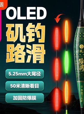 小凤仙OLED路滑夜光漂加粗醒目矶钓远投大物浮漂日夜两用电子鱼漂