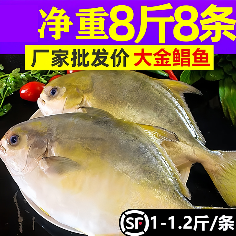 鲜新鲜海捕深海金鲳鱼鲜活冷冻特大金昌鱼平鱼白鲳鱼海鲜水产