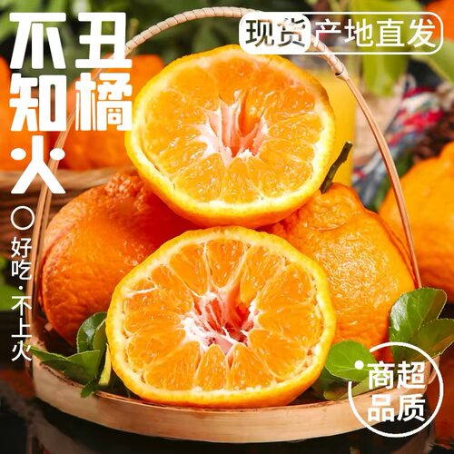 四川不知火丑橘9斤大果新鲜水果新鲜整箱大果当季包邮产地直发