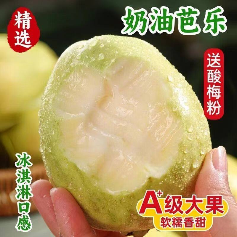 精选软糯奶油冰淇淋白心芭乐软糯软心番石榴新鲜现摘水果低糖低脂