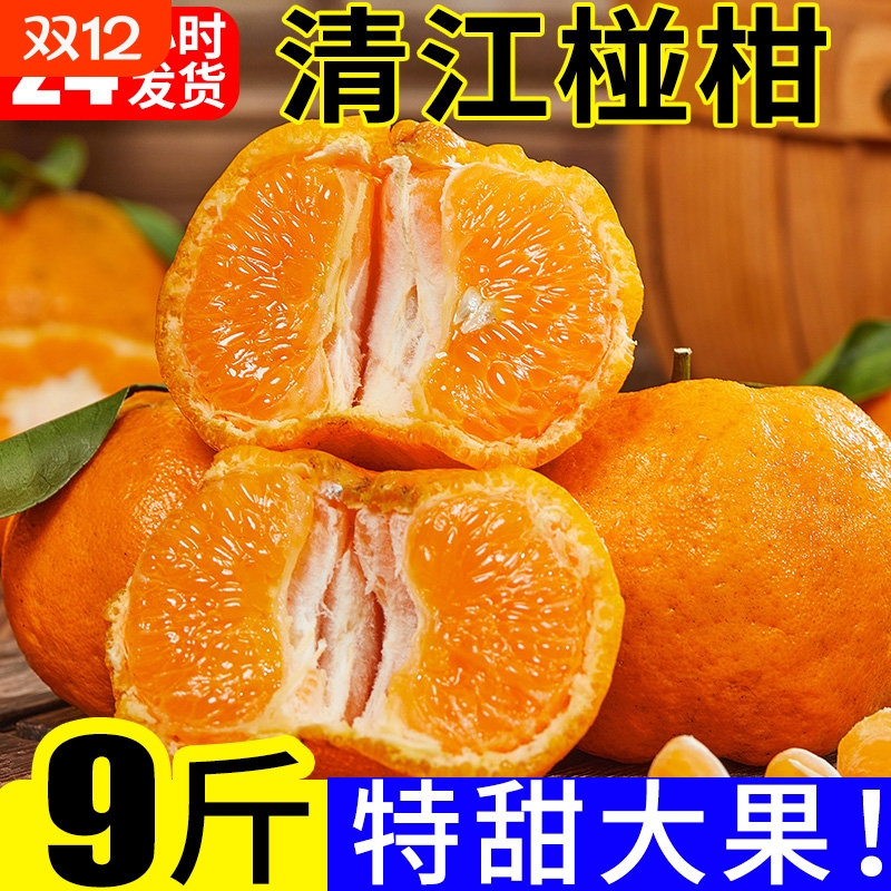 丑橘当季特甜果|回头客超1800人