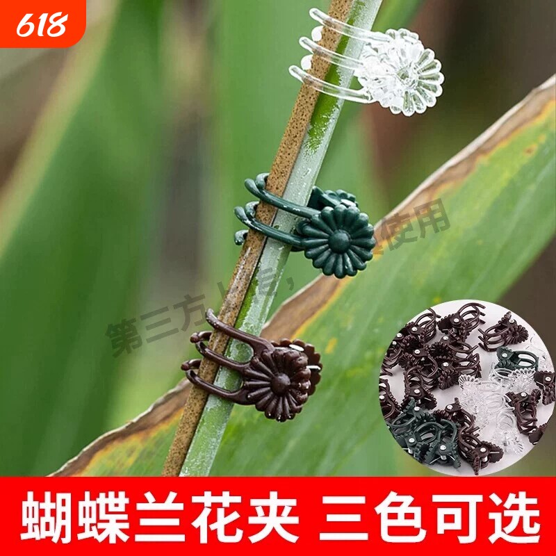兰花蝴蝶兰专用藤蔓花枝支架夹子固定架造型植物防倒伏支架支撑