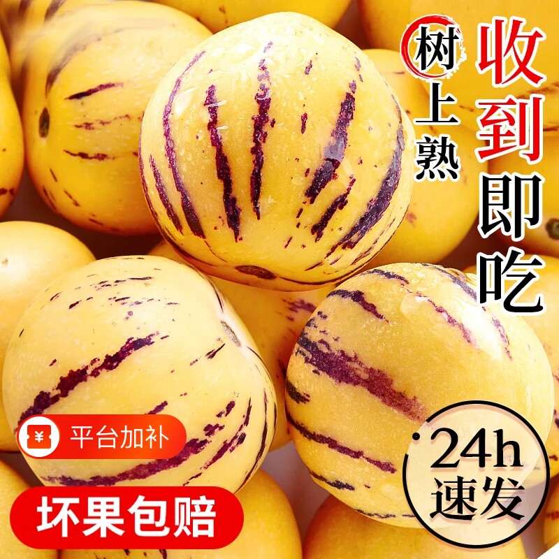 云南石林人参果新鲜水果黄心圆果树上熟七彩人叁果应当季整箱包邮