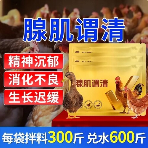 鸡腺肌胃炎专用药鸡鸭鹅拉稀拉白便胃肠炎过料水便腺肌胃清腺胃康