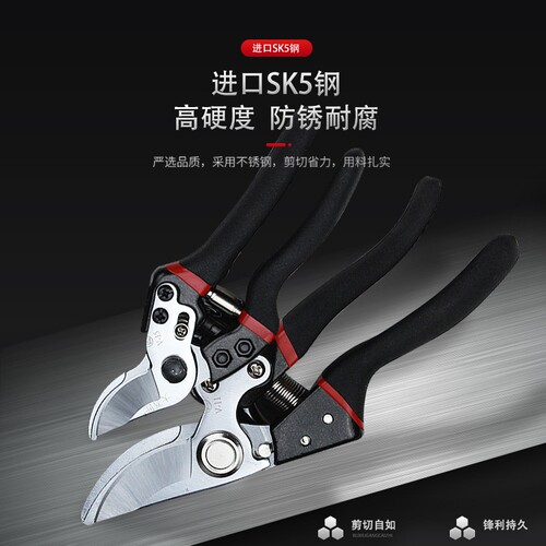 {卖点}