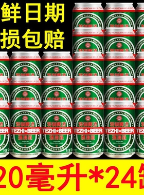 青岛特制啤酒24罐装320/24毫升小罐小麦啤酒整箱优质特价酒原浆