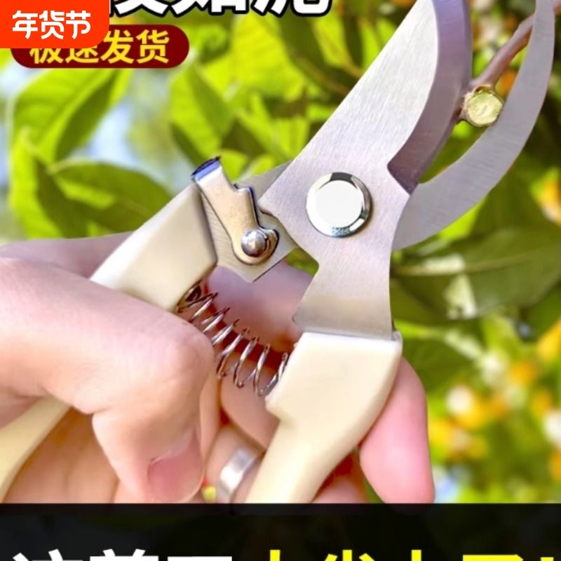 不锈钢树枝修枝剪水果花木剪园林果树花卉枝嫁接园艺剪刀工具修剪,鲜花速递/花卉仿真/绿植园艺,剪刀,淘宝优惠券,粉丝福利购,淘宝优惠卷
