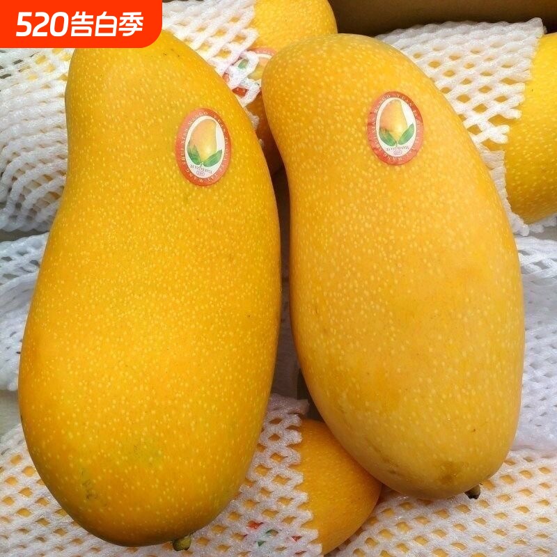 海南金煌芒果甜心芒果新鲜应季水果水仙当季大果热带甜忙果