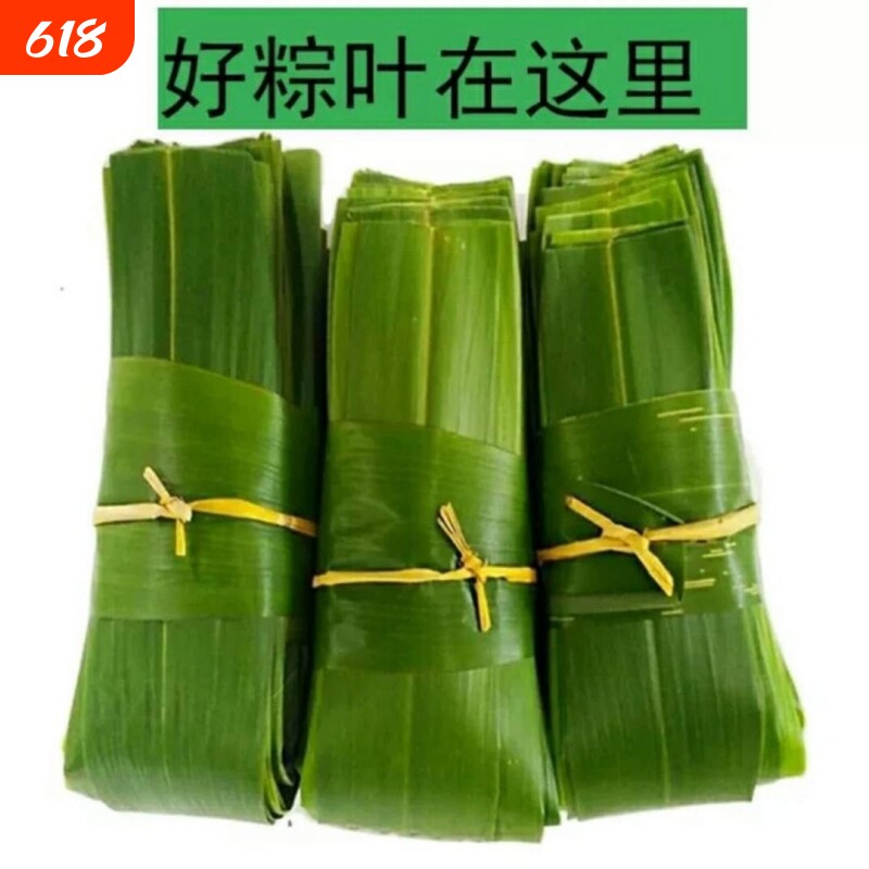 粽叶新鲜 大号粽子叶包粽子的叶子大叶包粽子粽叶子箬叶竹叶批发