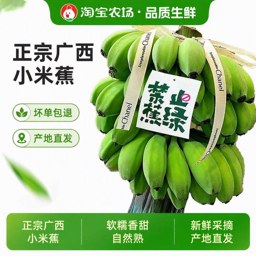 小米蕉香蕉新鲜水果当季现摘芭蕉孕妇宝宝水果青蕉直发自然熟