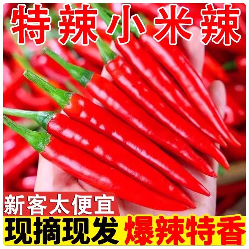 云南正宗小米辣椒新鲜特辣红米辣椒鲜椒特级朝天椒红辣椒新鲜直达