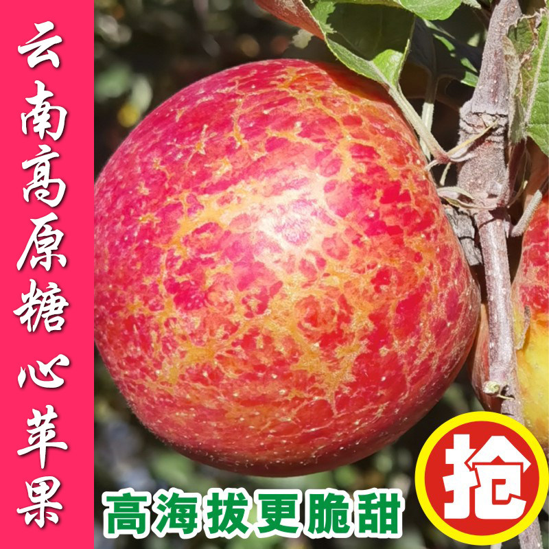 云南高原正宗丑苹果冰糖心大理丽江昭通新鲜水果红富士纯甜现摘包,水产肉类/新鲜蔬果/熟食,苹果,淘宝优惠券,粉丝福利购,淘宝优惠卷