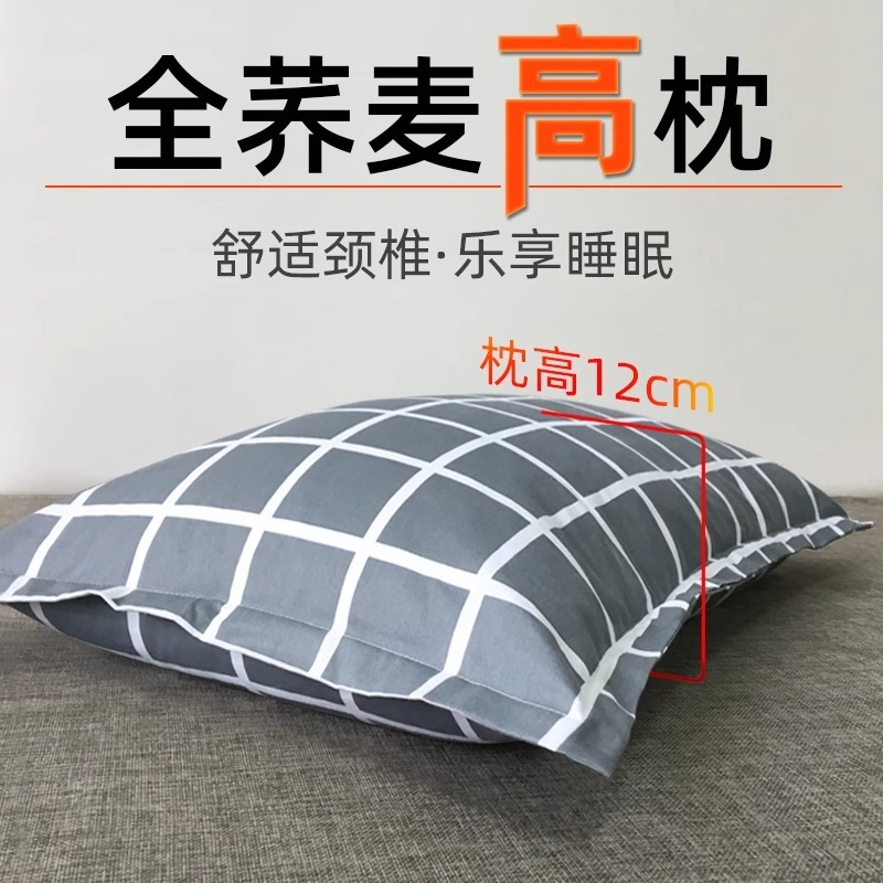 全荞麦皮枕头成人家用学生宿舍颈椎专用纯荞麦壳高枕芯带枕头套男