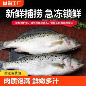 精选新鲜开肚海鲈鱼三去海鲜水产活鱼鲜制真空包装半成品