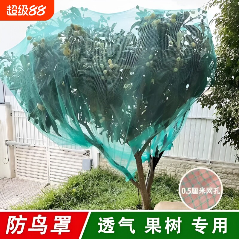 嘉宝果树网罩防鸟罩防鸟围网果园防鸟网樱桃树防冰雹网防护网盆景