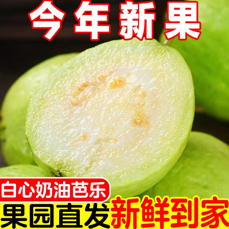 【甄选】云南高山当季新鲜白心芭乐软糯脆软两吃水果整箱整箱现摘