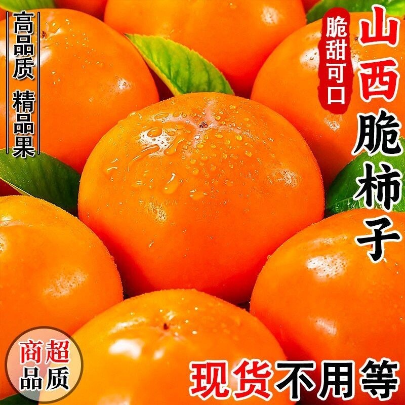 脆柿子】正宗阳丰柿子应季新鲜水果脆甜巧克力冰糖硬柿子整箱包邮