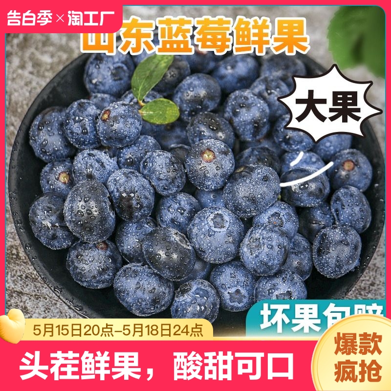 【顺丰空运】现货蓝莓果王鲜果现摘当季水果孕妇山东高山新鲜蓝梅 水产肉类/新鲜蔬果/熟食 蓝莓 原图主图