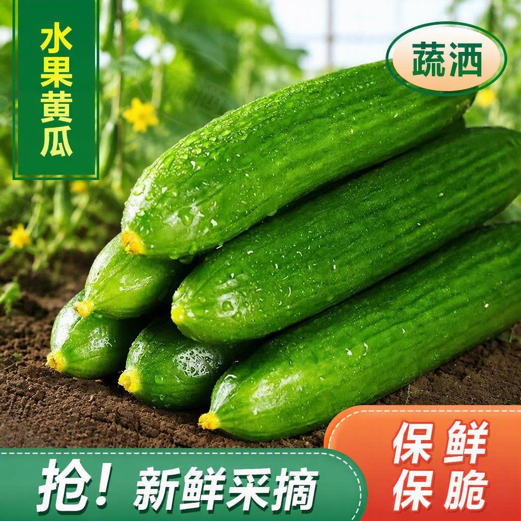 山东寿光新鲜水果黄瓜脆爽生吃时令蔬菜5斤健康美味小黄瓜现摘