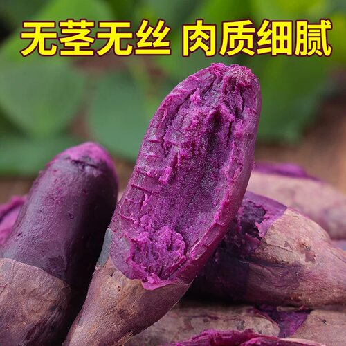 紫薯新鲜沙地紫红薯地瓜板栗蜜薯烟薯番薯小香薯自种软糯食用紫心