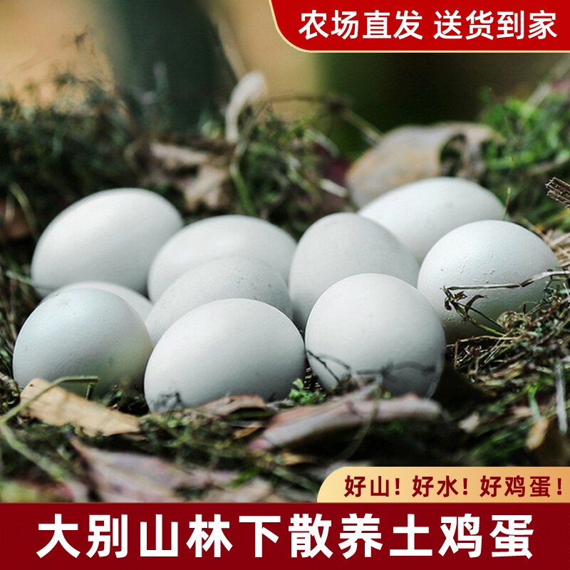 绿壳乌鸡蛋20枚大别山跑山鸡孕妇正宗农家散养土鸡蛋新鲜谷物农场