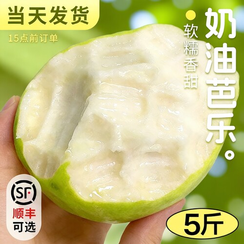 【5斤奶油芭乐限购】软糯香甜