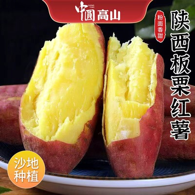正宗现挖沙地板栗红薯新鲜栗面粉糯香甜农家自种黄心地瓜保存自提
