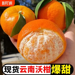包邮 橘子桔子整箱 蜜桔蜜橘现摘 当季 正宗云南爆甜沃柑水果新鲜应季