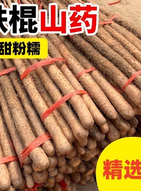 正宗垆土铁棍山药新鲜铁杆怀山药农家山药铁棍批发5斤装