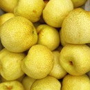 水果梨子新鲜5 正宗安徽砀山酥梨薄皮脆甜当季 10整箱批发 爆汁