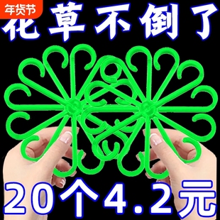 龟背竹支撑固定器防倒伏春羽支架枝干固定花盆园艺花卉绿植绑枝机