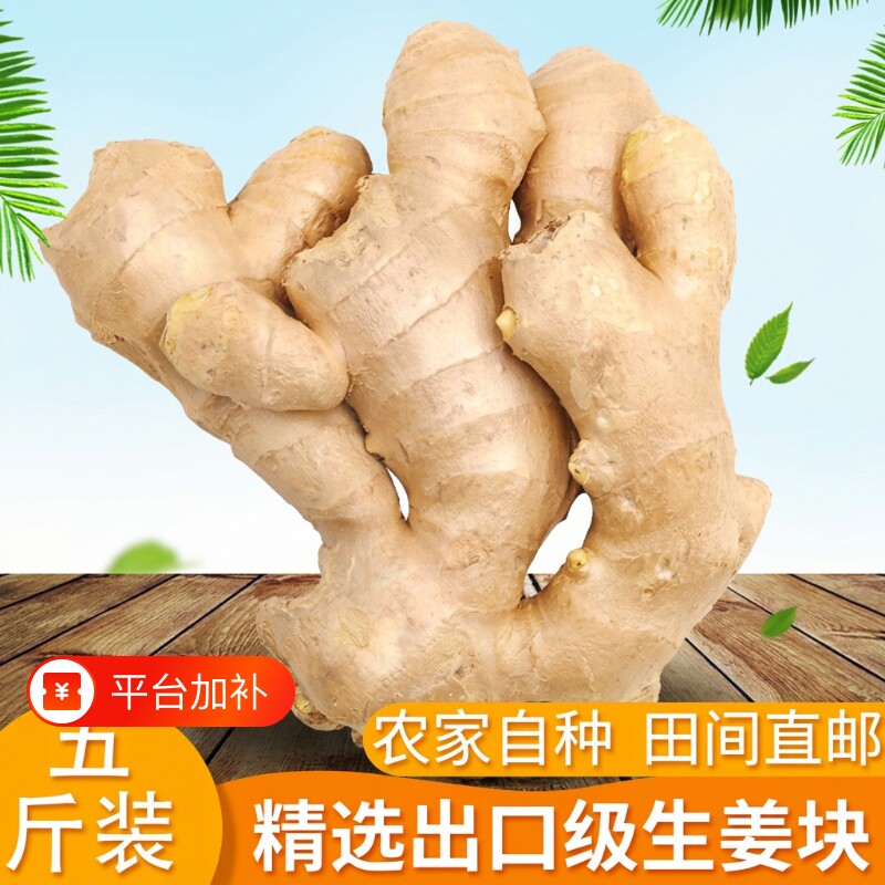 山东大姜生姜新鲜老姜月子姜风干姜鲜姜老黄姜包邮食用精选源头