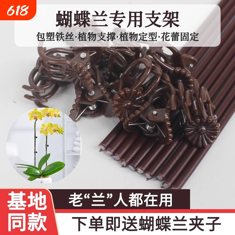 蝴蝶兰花支架兰夹子支撑杆植物爬藤花卉固定专用铁丝支架园艺造型