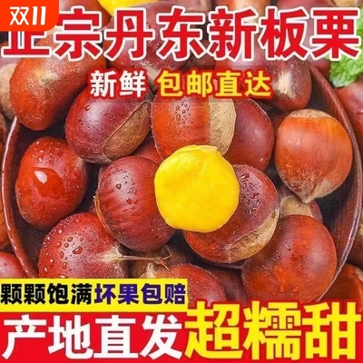 丹东新鲜现摘特大果板栗生板栗野生毛栗子粉糯甜非油板栗净重批发