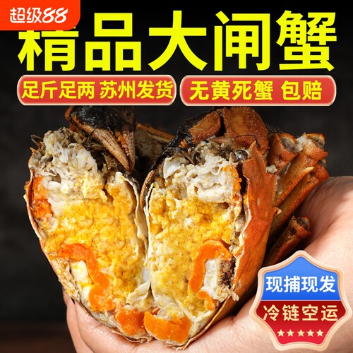 精品大闸蟹鲜活特大螃蟹全母活蟹现货河蟹海鲜水产礼盒装苏州发货