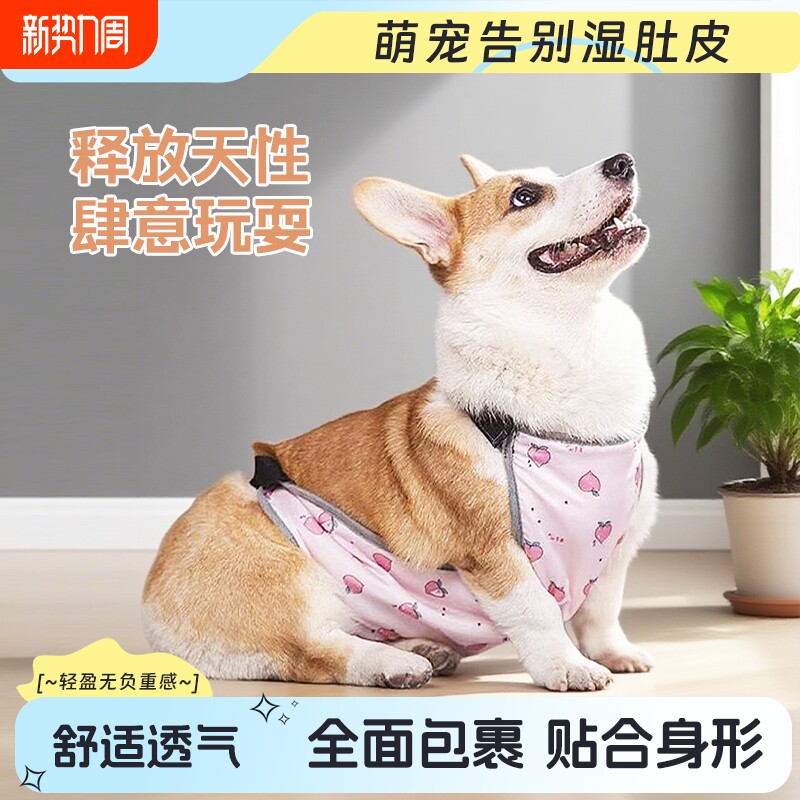 宠物狗狗防凉肚兜防水透气防脏保暖防着凉柯基衣服肚兜四季通用