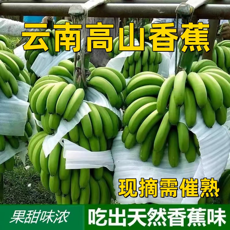 【优质】云南红河高山香蕉孕妇水果自然熟当季新鲜水果非小米蕉甜
