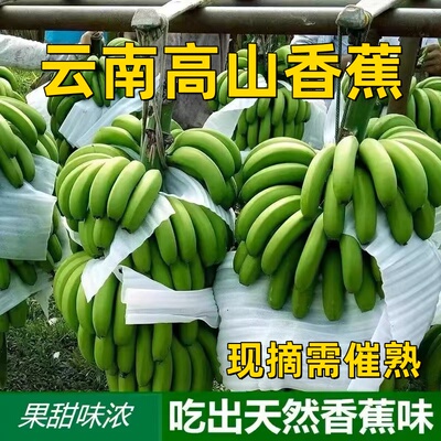 【优质】云南红河高山香蕉孕妇水果自然熟当季新鲜水果非小米蕉甜