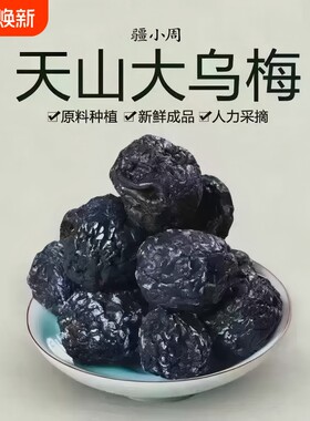 正宗天山大乌梅500g休闲零食