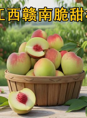 脆桃江西赣南正宗脆甜桃子新鲜水果毛桃油桃水蜜桃非连平鹰嘴桃子