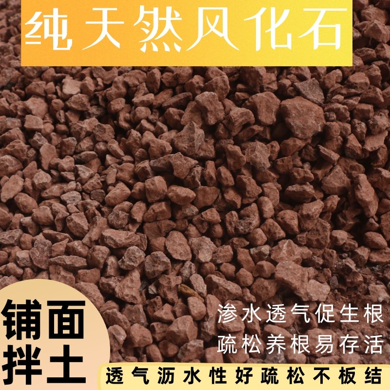纯天然风化土颗粒风化石土壤盆景生根专用种植小叶铺面疏松