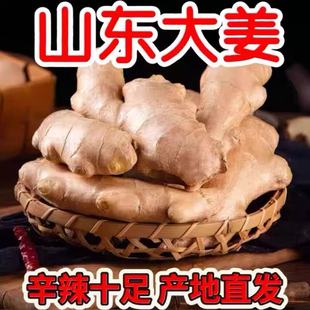 山东大姜老姜优质生姜风干姜新鲜老黄姜3斤5斤包邮大块老姜批发