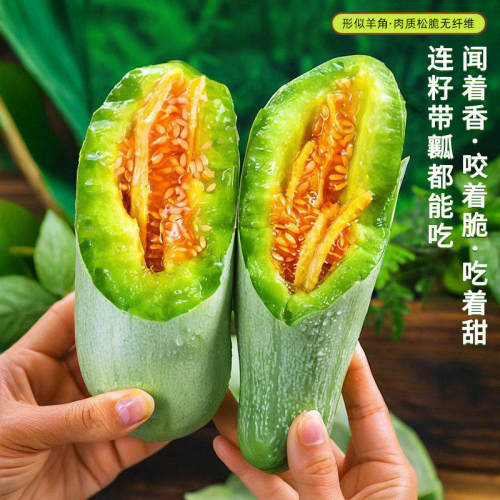 甜！！！正宗羊角蜜甜瓜
