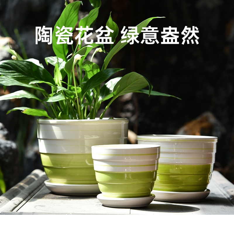 花盆陶瓷特大号带托盘特价清仓阳台家用绿植多肉花盆亏本艺术桌面