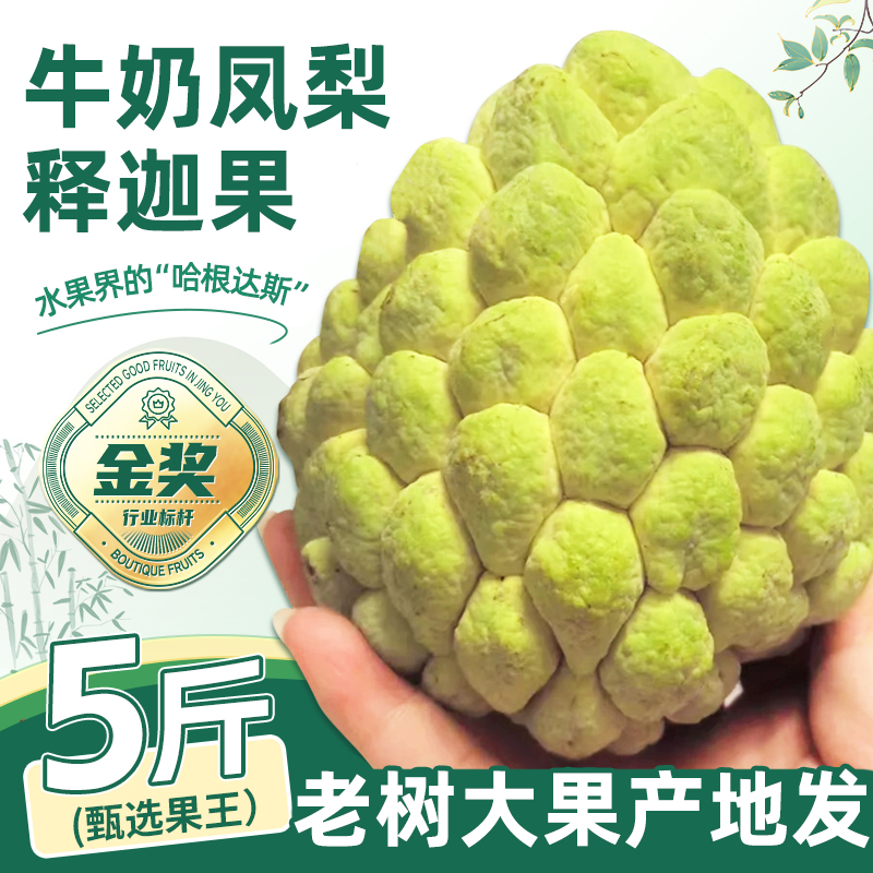 新鲜凤梨牛奶释迦果5斤大目释迦尼佛头果冰淇淋番荔枝特大果现摘