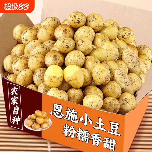 恩施小土豆新鲜黄心包邮