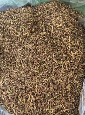 茶叶梗去甲醛家用散装茶梗除甲醛新房吸味茶枝去味装修铁观音除味