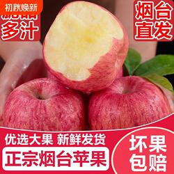 烟台苹果红富士孕妇水果当季新鲜脆甜整箱特大果精品包邮精选