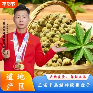 正宗淳安千岛湖覆盆子中药材正品覆盘子干泡茶水复盆子官方旗舰店